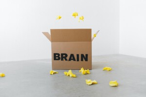 brein rust
